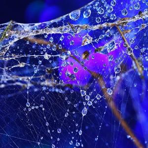 Trying to Survive(feat. Theo3) (Explicit)