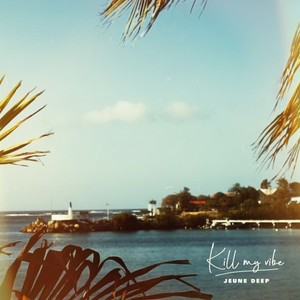 Kill My Vibe (Explicit)