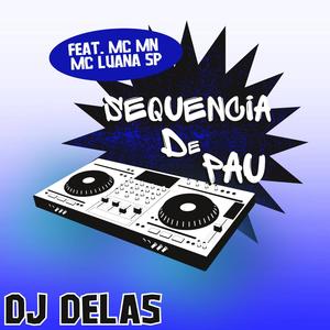 SEQUENCIA DE PAU (feat. MC MN & MC LUANA SP) [Explicit]