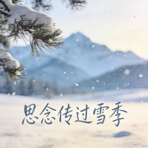 思念传过雪季