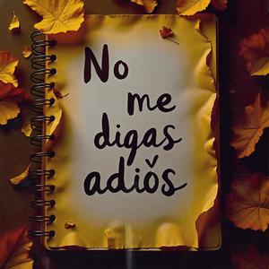 No me digas adiós (versión corta)