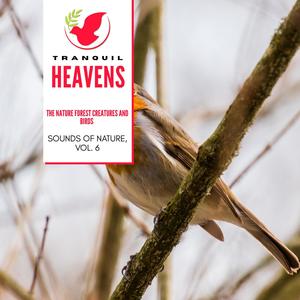 The Nature Forest Creatures and Birds - Sounds of Nature, Vol. 6