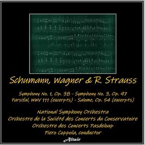 Schumann, Wagner & R. Strauss: Symphony NO. 1, OP. 38 - Symphony NO. 3, OP. 97 - Parsifal, Wwv 111 (Excerpts) - Salome, OP. 54 [Excerpts] - Salome, Scene 1, Op. 54: Jokanaan descends into the cistern