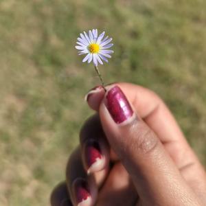 (Tellin Ü) Deep Water Horizons