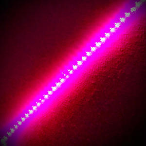 Got A Fee (feat. JIZZY JOE) (Explicit)