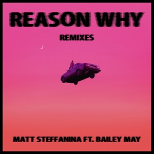 Reason Why (Zibrog Remix)