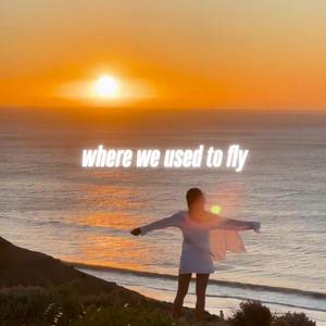 Where We Used To Fly