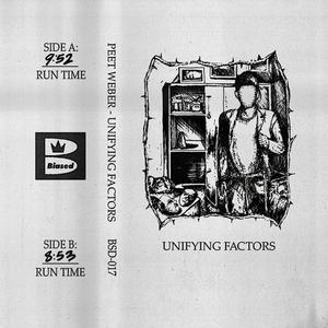 Peet Weber - Writing On The Furniture (Explicit)