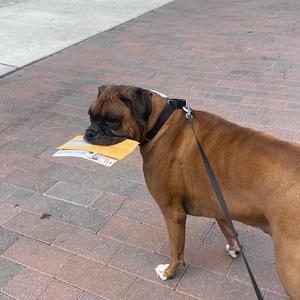 BROAD DAYLIGHT (feat. Lijah., Yung Glxtch & Jim Flowers) (Explicit)