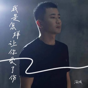 我是怎样让你受了伤 (DJ阿骏)