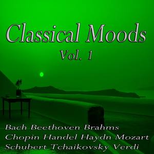 String Quartet in D Major Op. 64: I. Allegro moderato