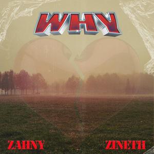 Why (feat. Zineth) [Explicit]