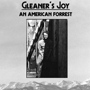 Gleaner's Joy