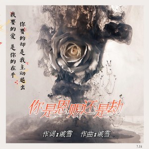 你是恩赐还是劫