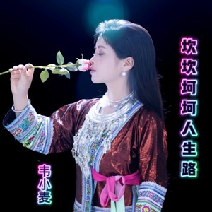 坎坎坷坷人生路-刘三姐