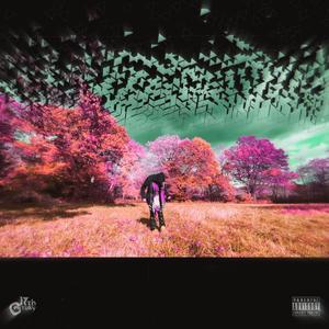 Android 17 (Explicit)