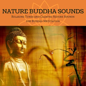 Nature Buddha Sounds - Relaxing Tunes and Calming Nature Sounds for Buddha Meditation