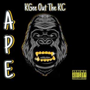 APE (Explicit)