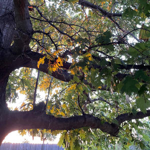 because i wanted you to know.