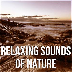 Relaxing Sounds of Nature - Stress Relief After Work, Mood & Serenity Music, Relaxing Sounds of Natu