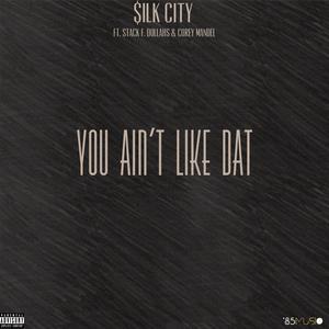 You Ain't Like Dat (feat. Stack Federal Dollahs & Corey Mandel) (Explicit)