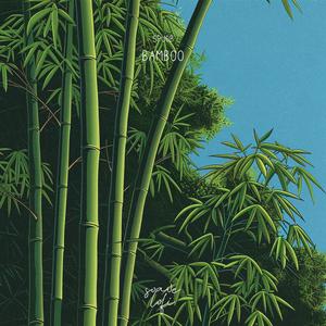 Bamboo