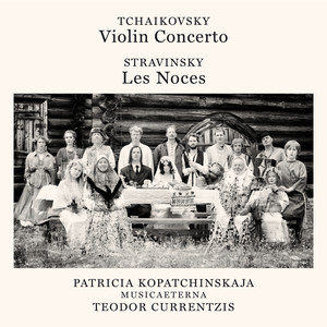 Violin Concerto in D Major, Op. 35, TH 59 - Violin Concerto in D Major, Op. 35, TH 59: I. Allegro moderato