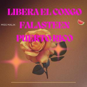 Libera el Congo Falasteen Puerto Rico