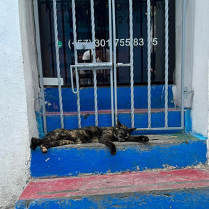 no stress (Explicit)