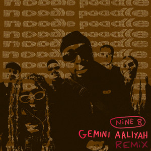 Noodle Poodle (Gemini Aaliyah Remix)