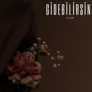 GİDEBİLİRSİN