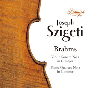 Violin Sonata No. 1 in G Major, Op. 78 