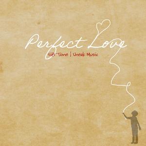Perfect Love (feat. Sb Tone)