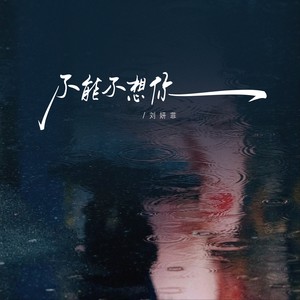 不能不想你 (刘妍菲版)