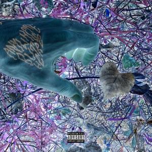 Conceited (Explicit)