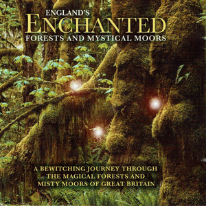 England's Enchanted Forests & Mystical Moors