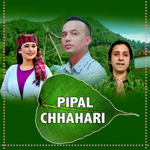 Pipal Chhahari