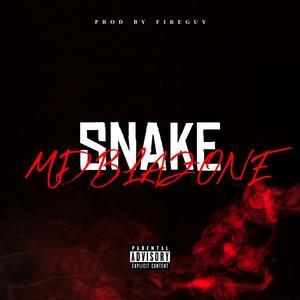 SNAKE (feat. MDBLaZone) (Explicit)