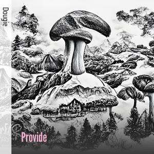 Provide (Explicit)