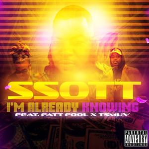 I'm Already Knowing (feat. Fatt Fool & TSmuv) (Radio Edit)