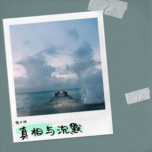 真相与沉默 (Live)