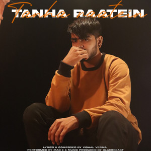 TANHA RAATEIN