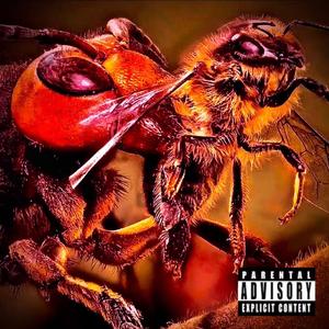 Yellowjacket (feat. Tonee) (Explicit)