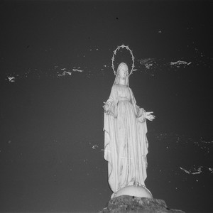 MENSCH vs TIER (Explicit)