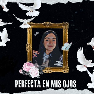 Perfecta en mis ojos