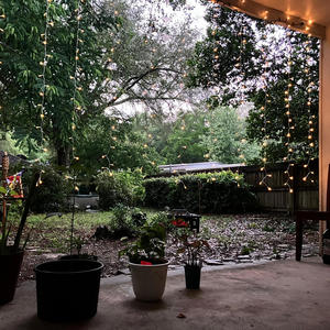 because you said i could