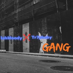 Gang (feat. TR7PBABY) [Explicit]