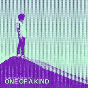 One Of A Kind(feat. Ed Privat)