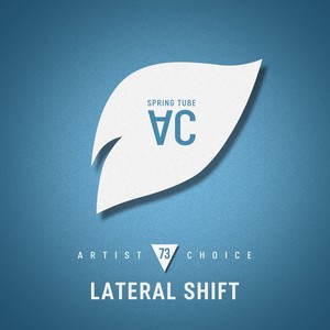Artist Choice 073 (Continuous DJ Mix)