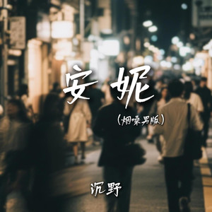 安妮 (烟嗓男版) - 沉野封面